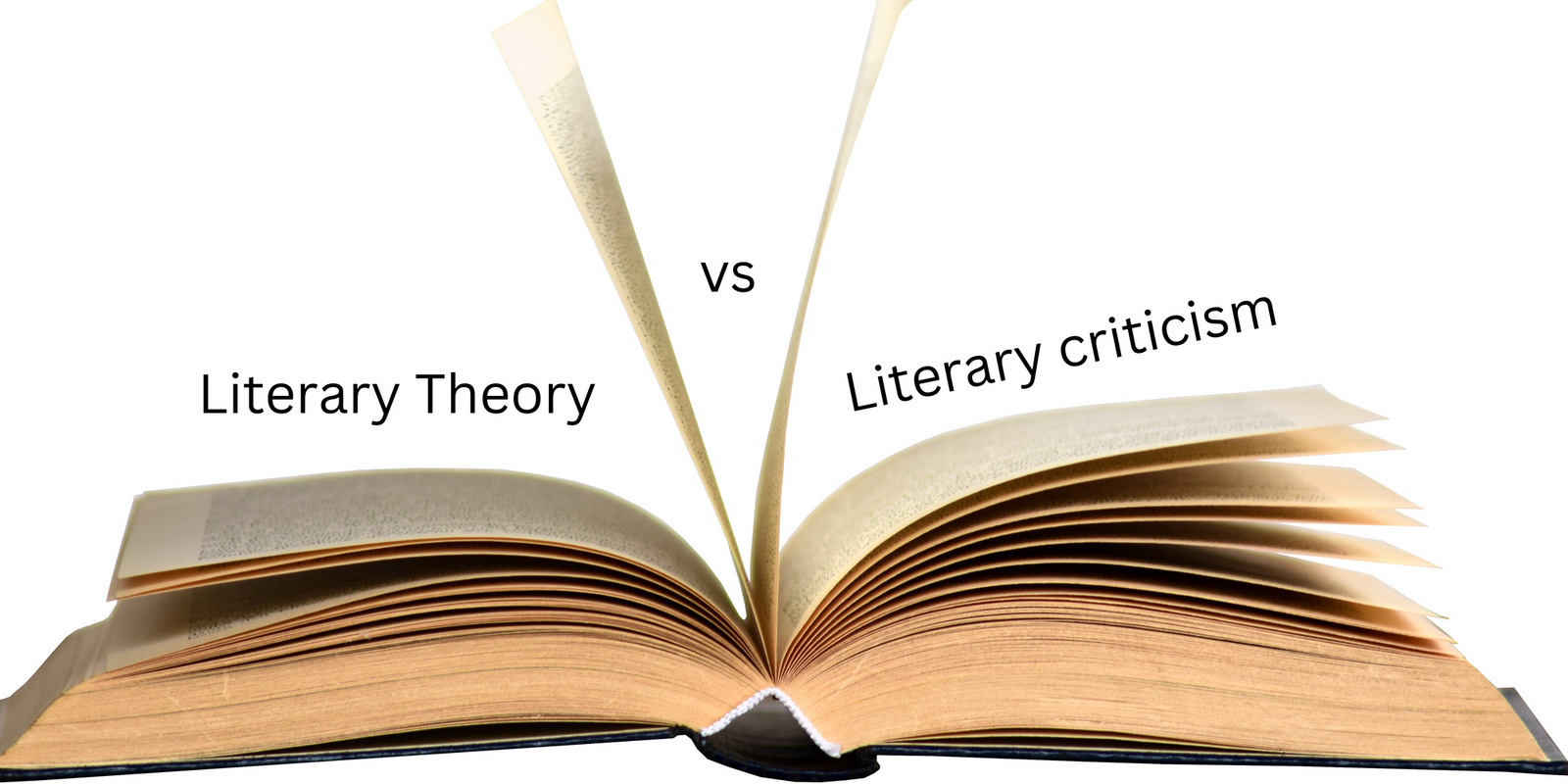 What Is Literary Theory?